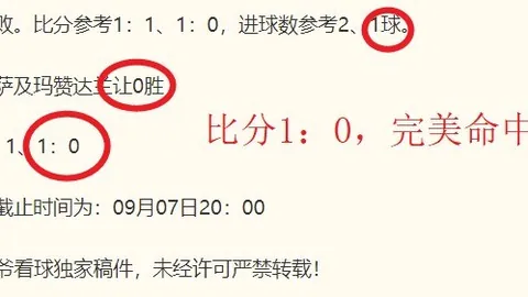 杜月徵倾心凯恩：探寻全能前锋的成长之道